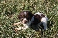 PENNY